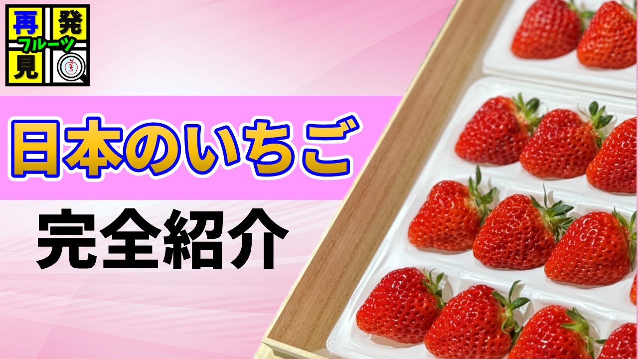 【100種類越え】日本で栽培される いちご「完全紹介」