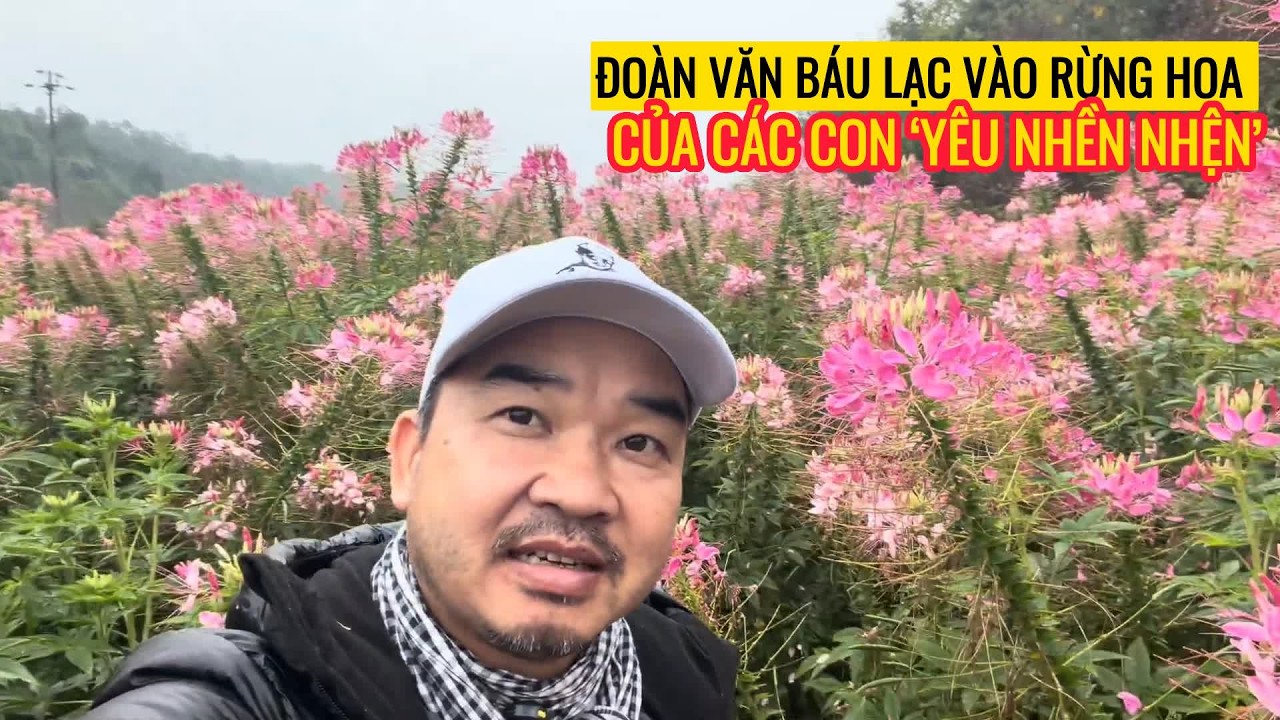 Đoàn Văn Báu lạc vào rừng hoa của các con ‘yêu nhền nhện’