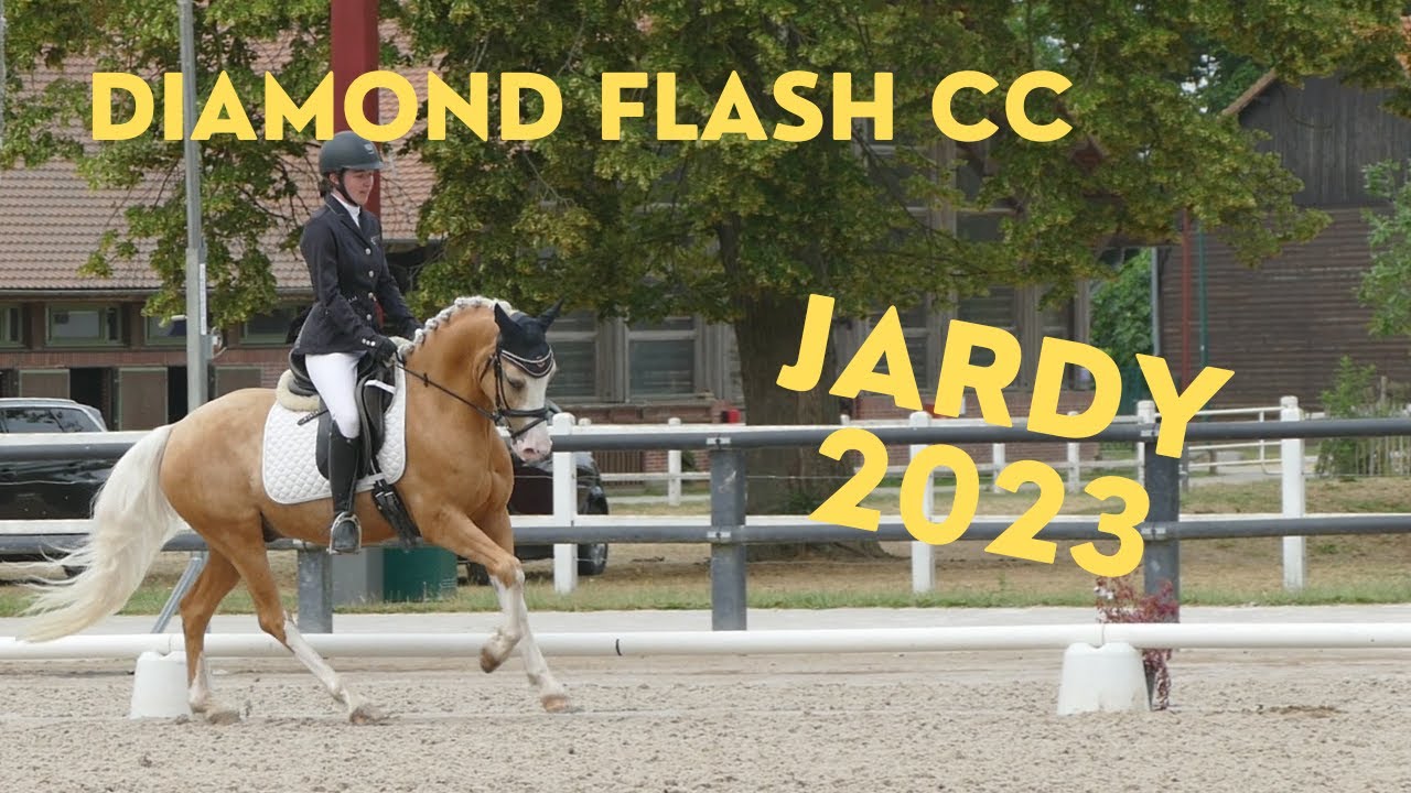 DIAMOND FLASH CC - JARDY 2023