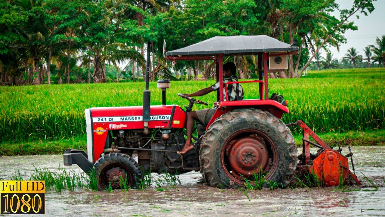 Mf 241 with 36 blade howard rotavator
