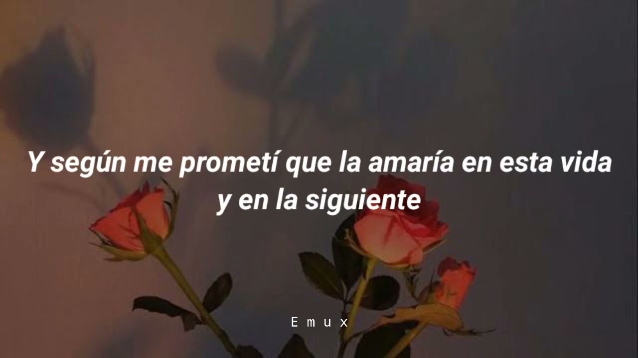 Ed Maverick - Contenta // letra