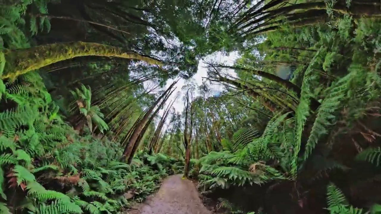 Nelson Falls Walk....