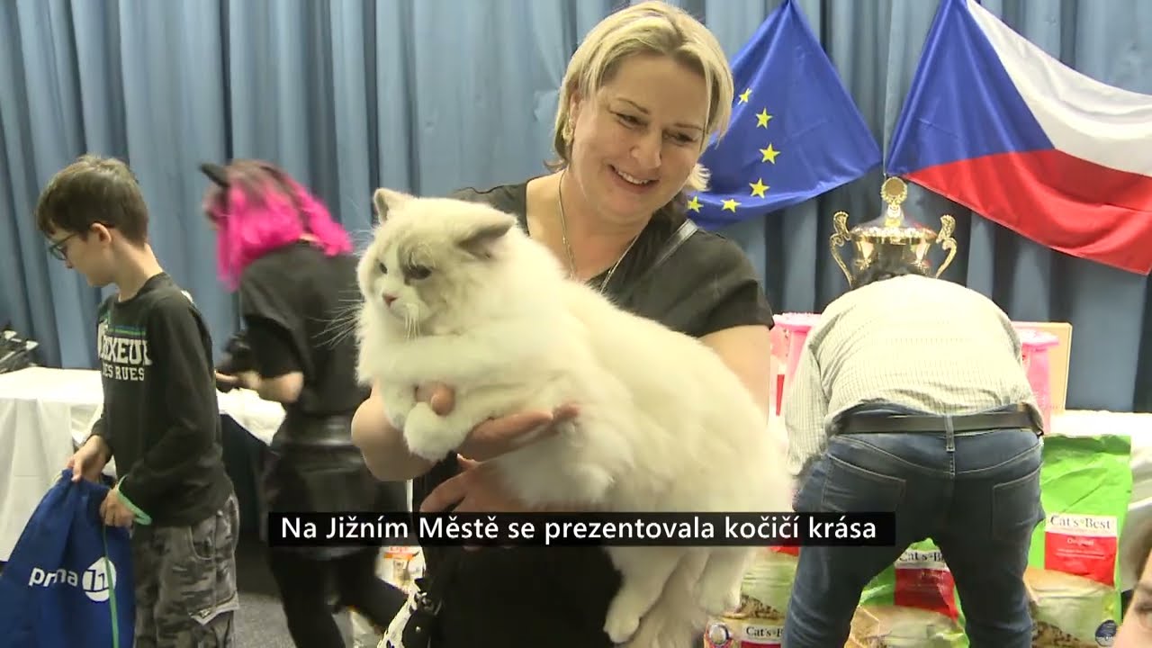 Na Jižním Městě se prezentovala kočičí krása, duben 2024