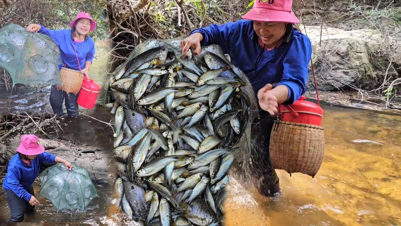 ลงลำห้วยไกล้บ้านหมานพอได้กินจ้า​ ลำโดมน้อย​ ปลาซิวข้าวก็มาปลากระดี่ก็มี​ ปูหิน  6ก.พ.69