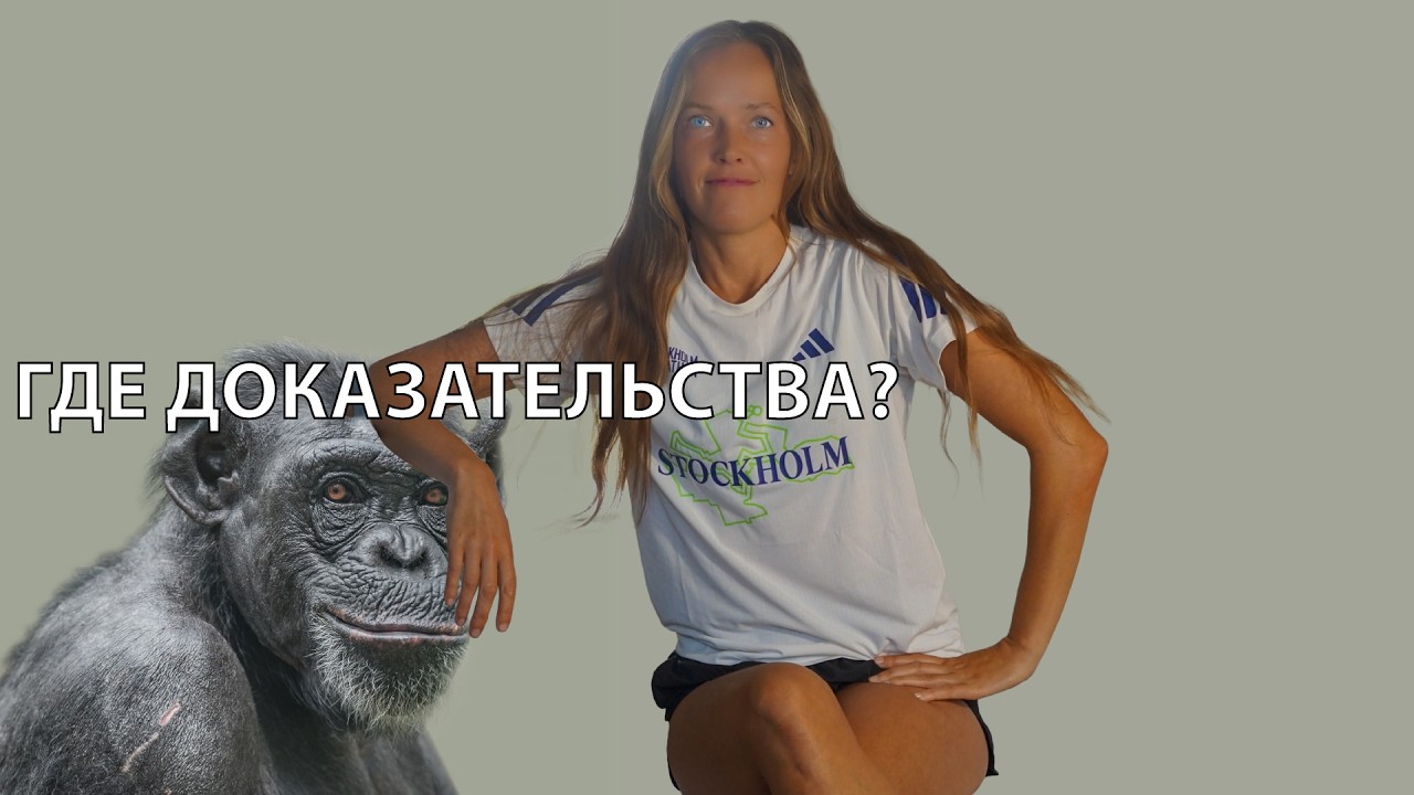 Эволюция: от бульона до человека&hellip;