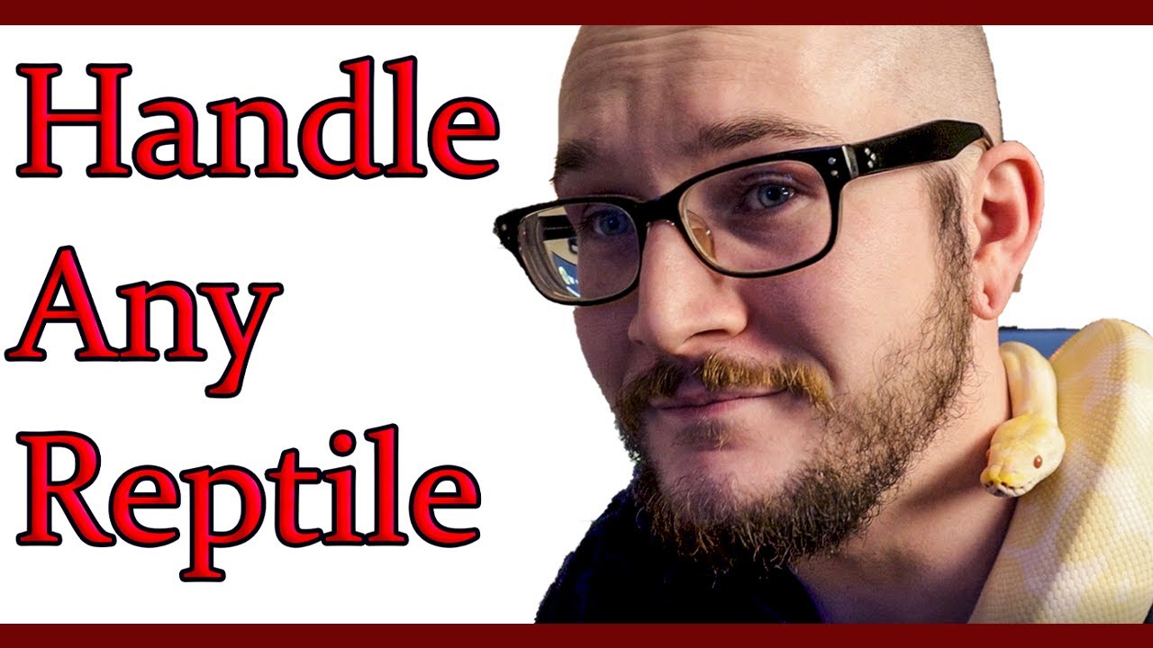 How To Handle Any Reptile WITHOUT Getting Bitten | Defensive Snake Tricks