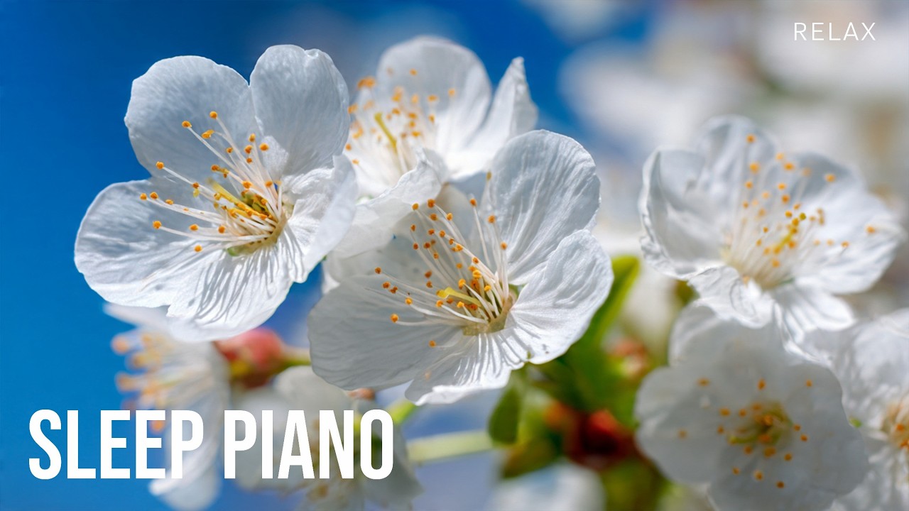 🔴 LIVE Peaceful Piano & Ambient Music – Study, Work, Focus