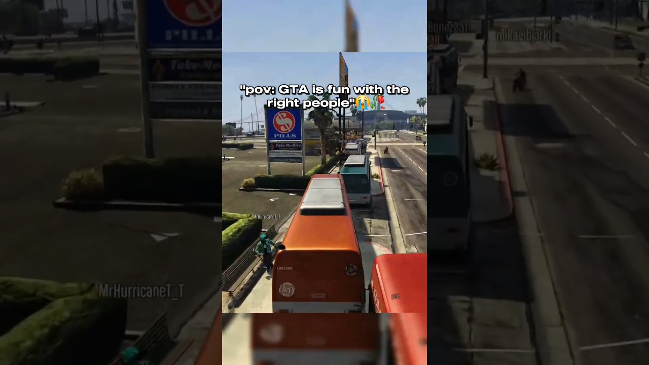 GTA is only fun with the correct people 😭