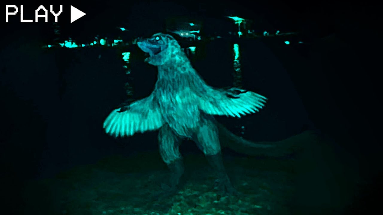 Weird Birds ❌ Demonios Prehistóricos (ARG horror)