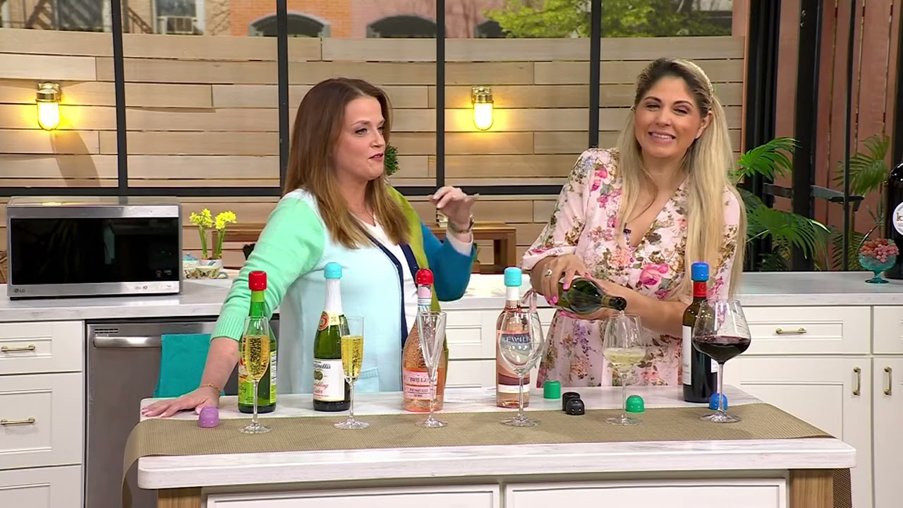 Prepology 6-Pc Wine & Champagne Sealers on QVC