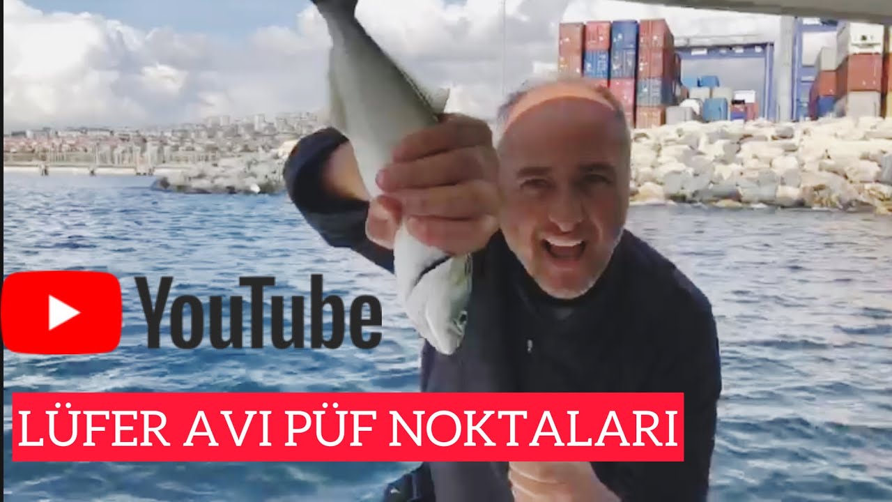 Lüfer avı