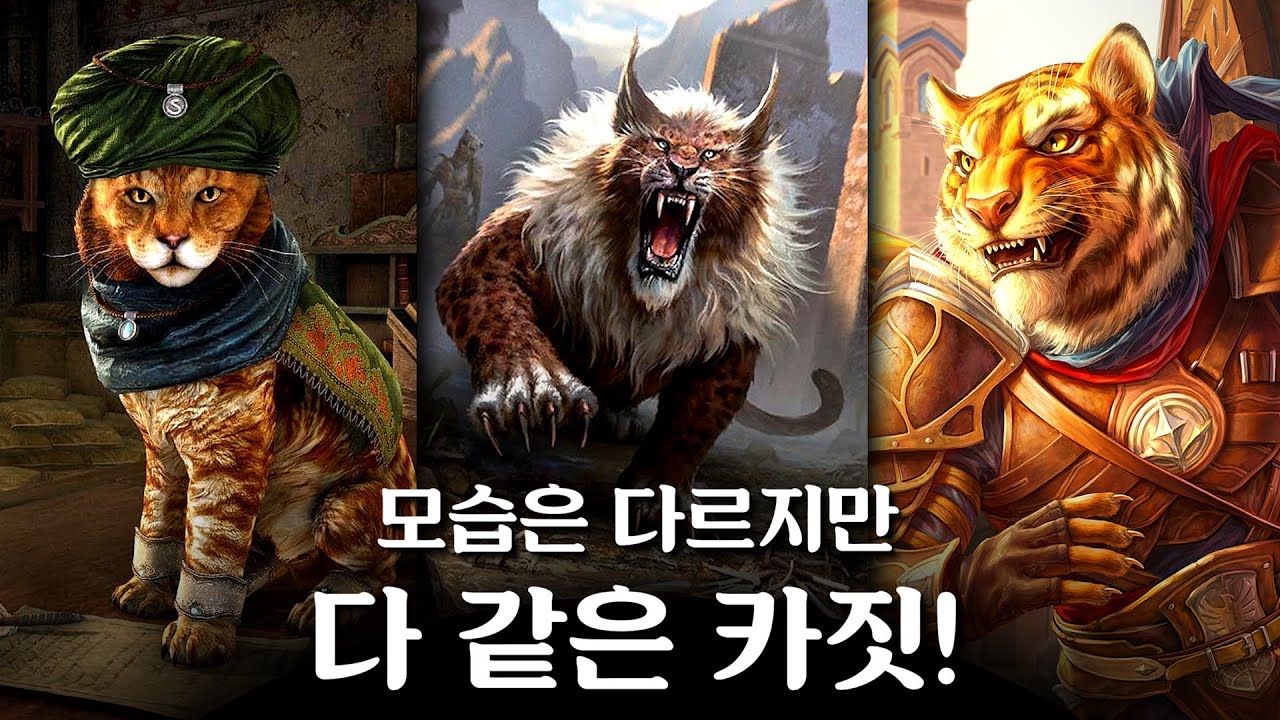 스카이림의 