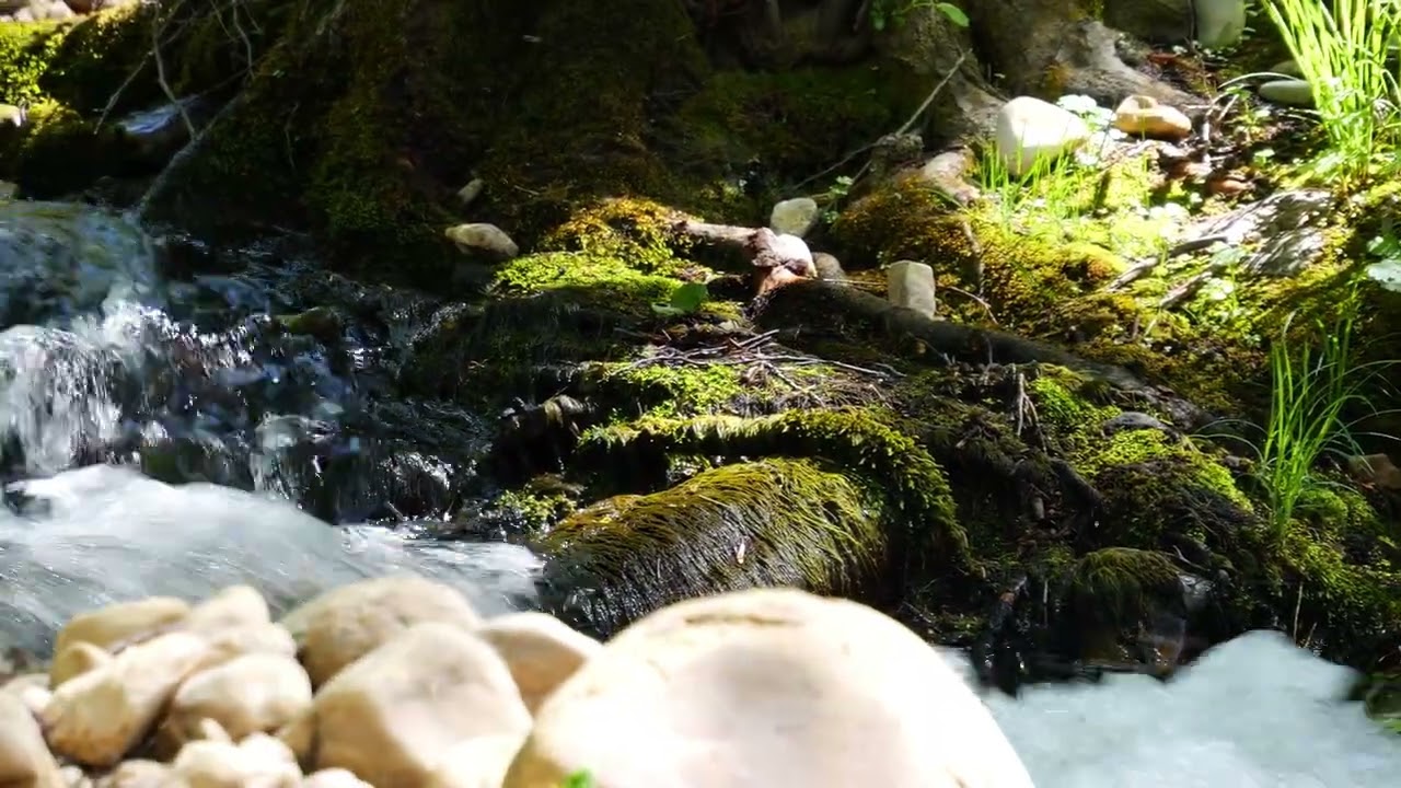 RÍO IBOR, SUBIDA DE BARBOS
