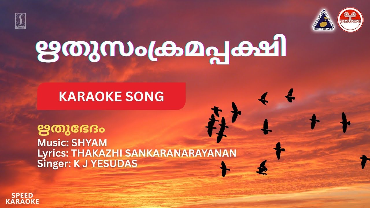 ഋതുസംക്രമപ്പക്ഷി പാടി - ഋതുഭേദം | HD Karaoke with Lyrics | Shyam | K J Yesudas | 
