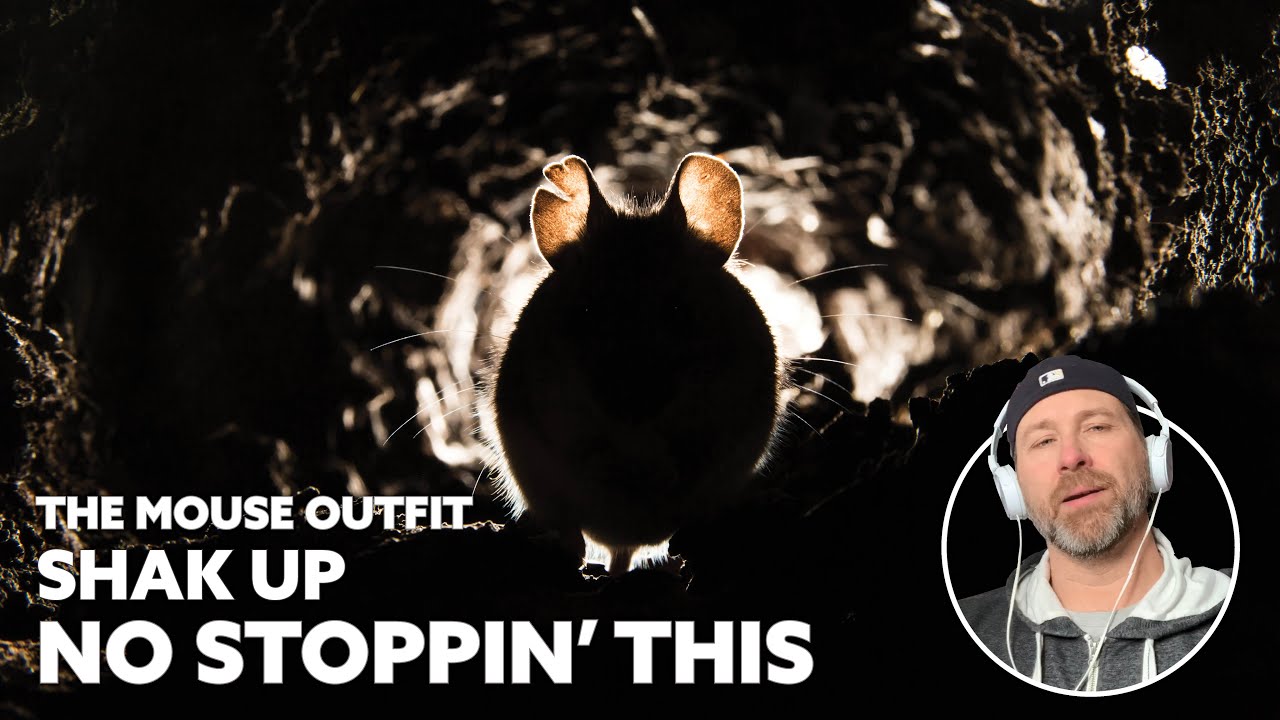 It's the little things - The Mouse Outfit - feat. Sparkz - Shak Out (Reaction)