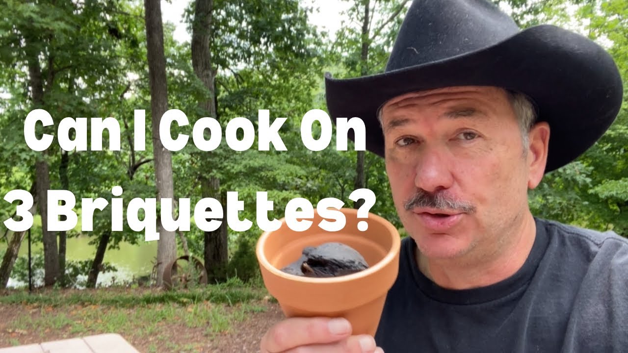 $2.48 Flowerpot Grill and 3 Briquettes - Will it work?