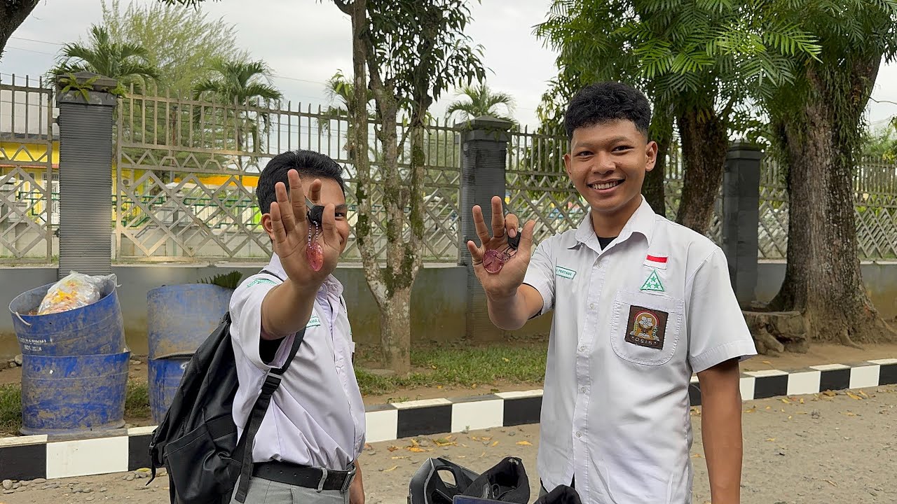 Telat datang, berujung kunci hilang || Kelompok Semut