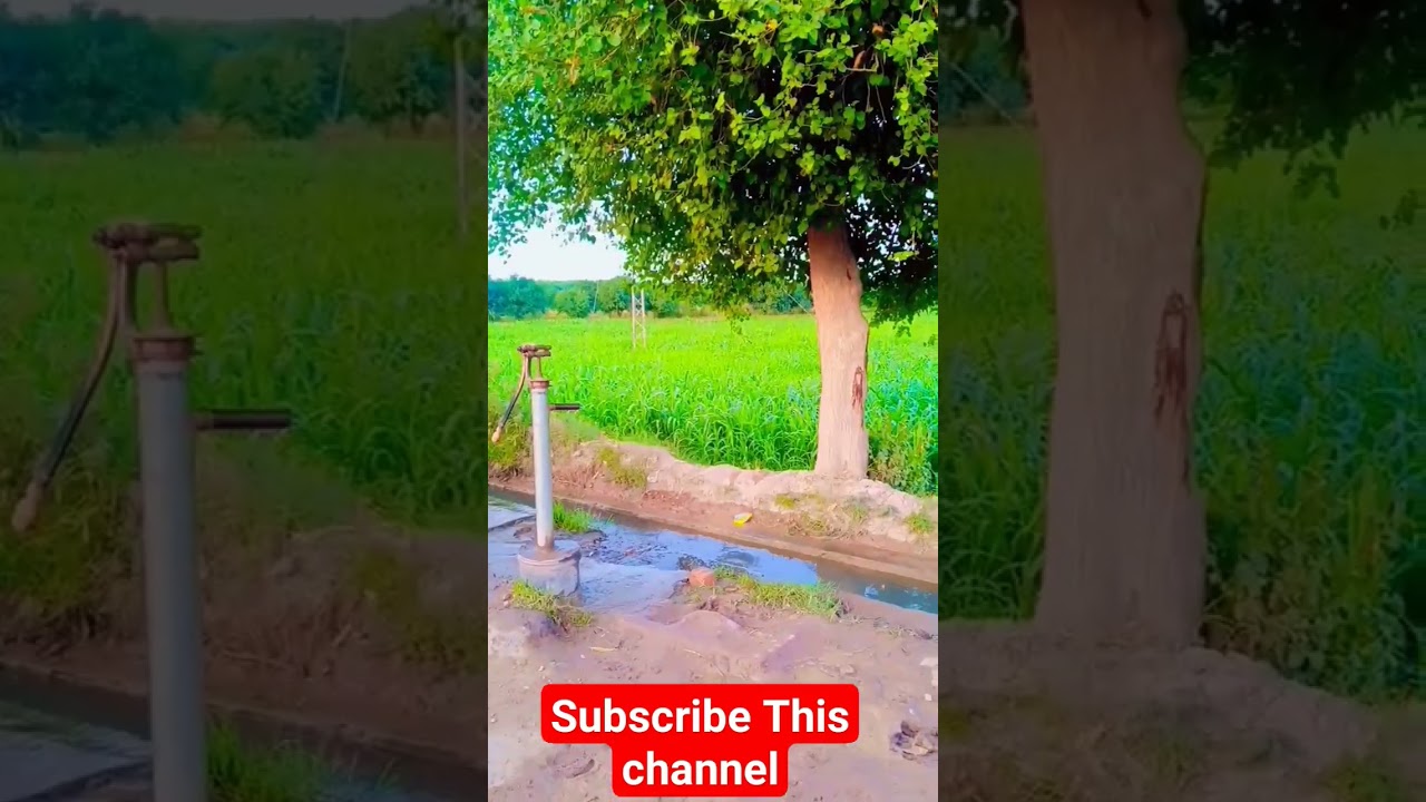 My Village Life Enjoy today Water null Sinlawali Road sargodha#road #vlog #villagelife #weather