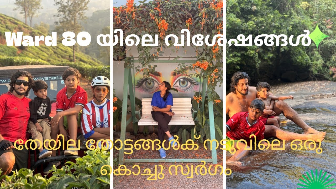 ward 80 resort in വയനാട്  | ഒരു രക്ഷയും ഇല്ലാത്ത ambiance #viral #travelvlog #lifestoryofvarda 