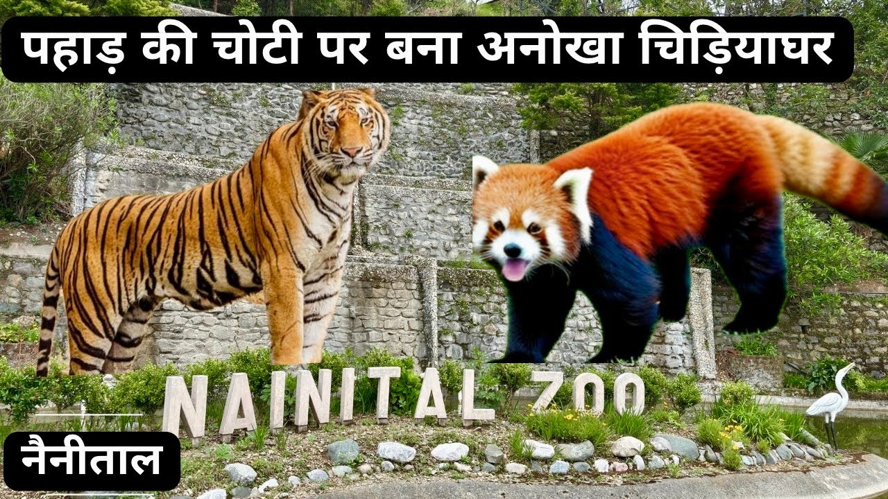Nainital Zoo - kaise jaye, Timings, ticket price | Nainital zoo | Nainital 