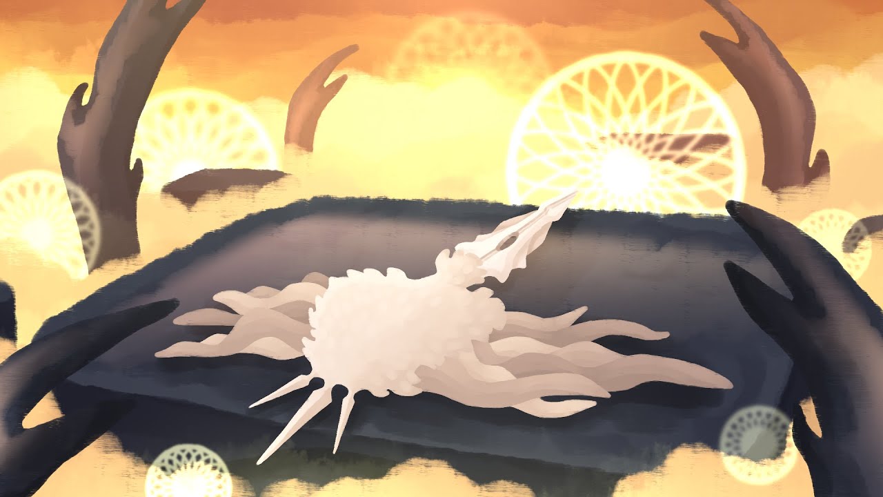 the radiance parties too hard and dies [hollow knight]