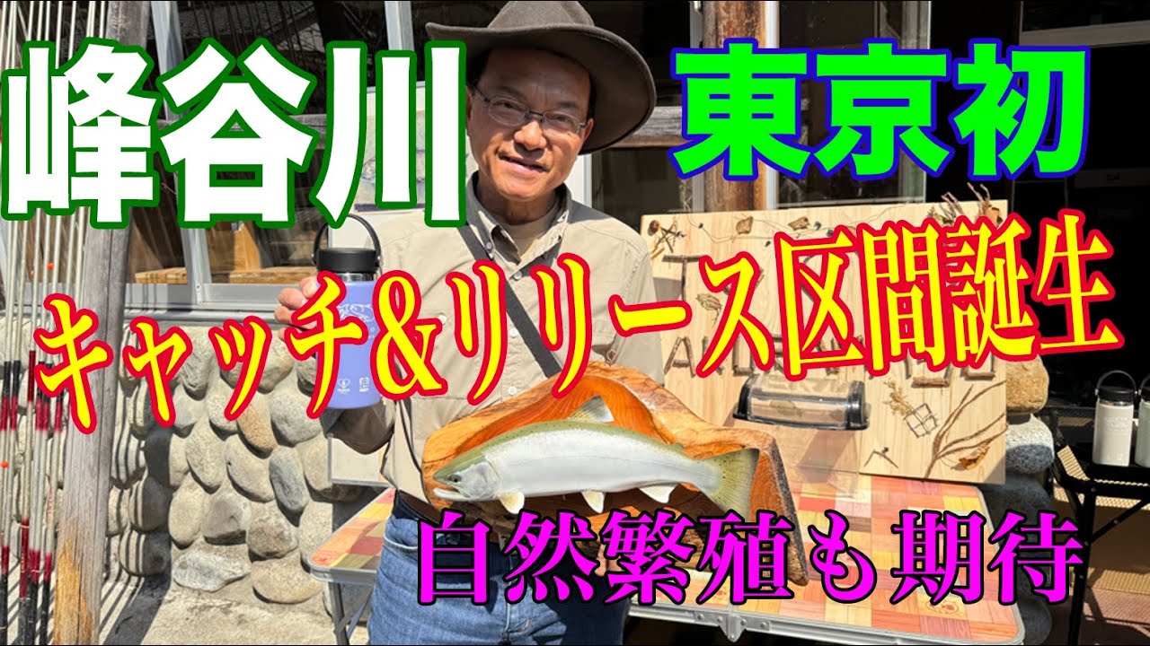 東京都初のキャッチ&リリース区間