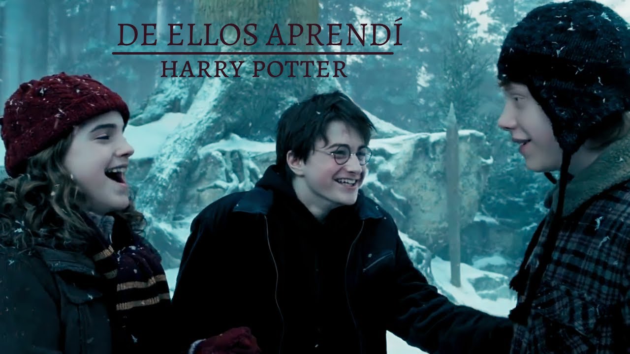 Harry Potter | De Ellos Aprendí