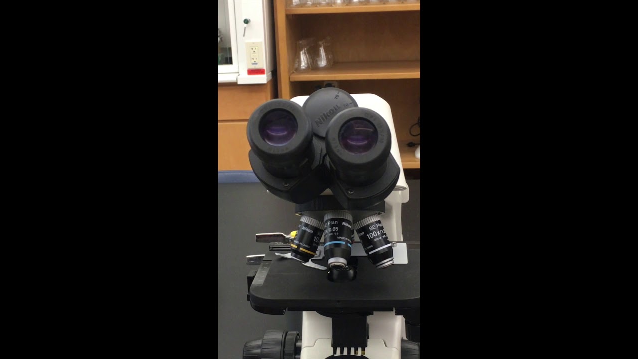 Beginner Microscope Tutorial