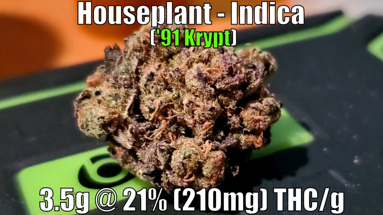 Houseplant - Indica ('91 Krypt) Unboxing Review - 3.5g @ 21% (210mg) THC/g (+Extreme Closeups)