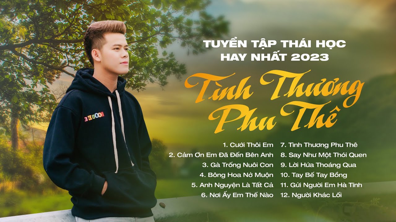 Cưới Thôi Em, Gà Trống Nuôi Con,... | LK Nhạc Trữ Tình, Nhạc Trẻ Tâm Trạng Hay Nhất 2024