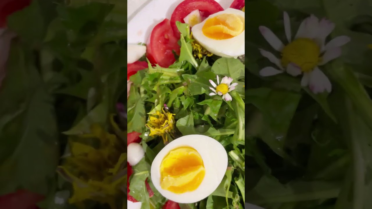 Salade de pissenlit aux oeufs