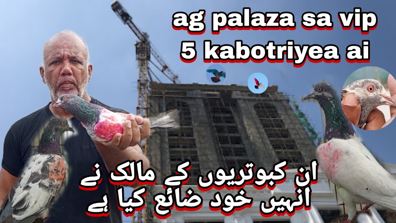 Aaj plaza sa VIP 5 Kabotareya ai 