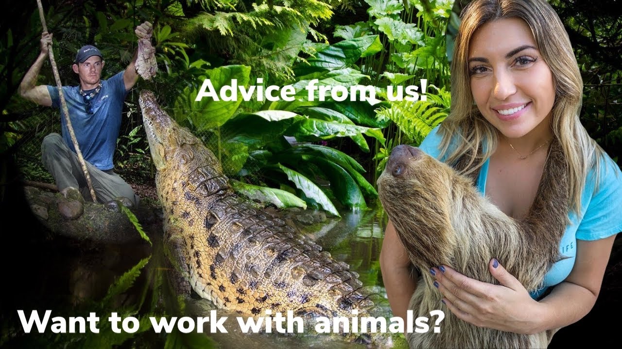 Как работать с животными! С чего начать, какая степень нужна и многое другое!