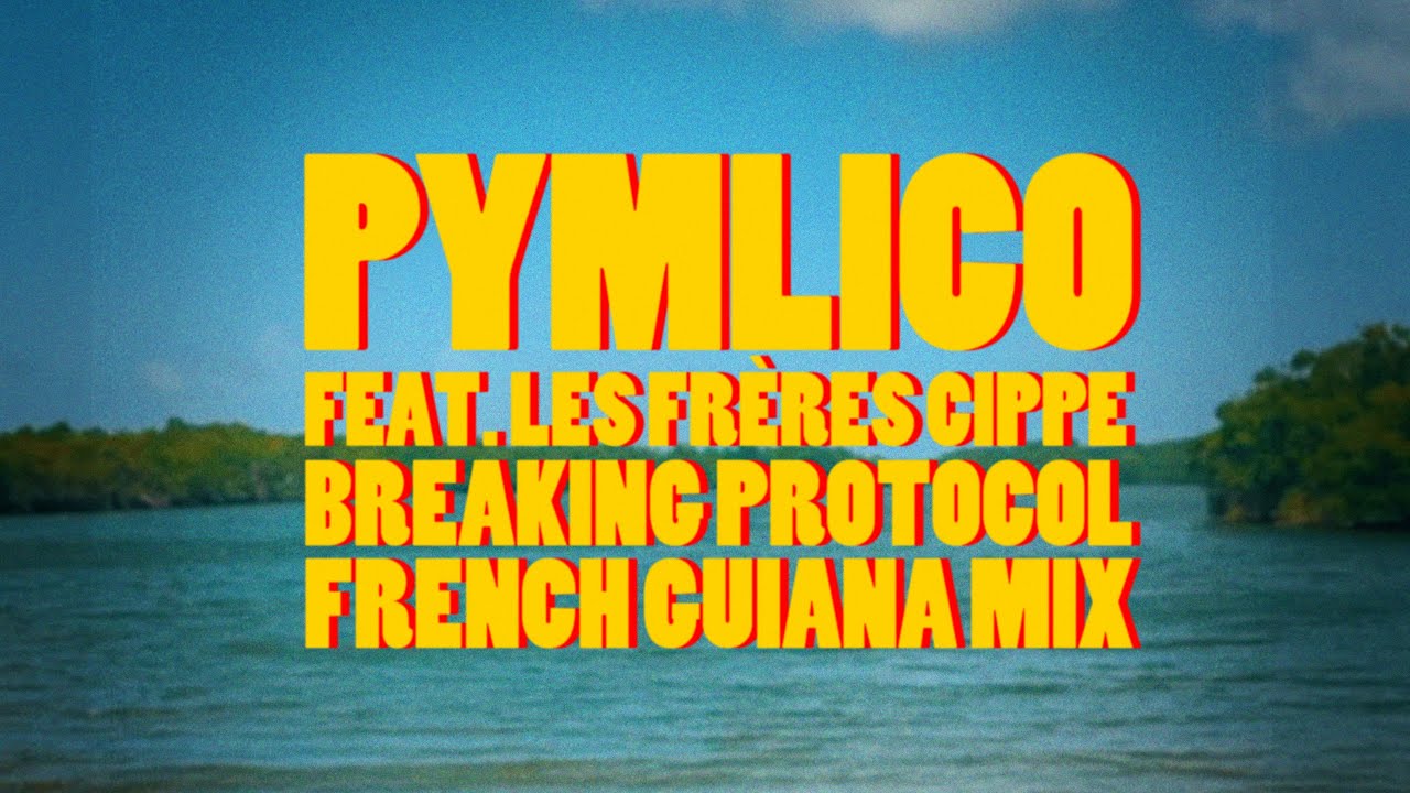 Breaking Protocol - French Guiana Mix (feat. Les Fr&egrave;res Cippe)