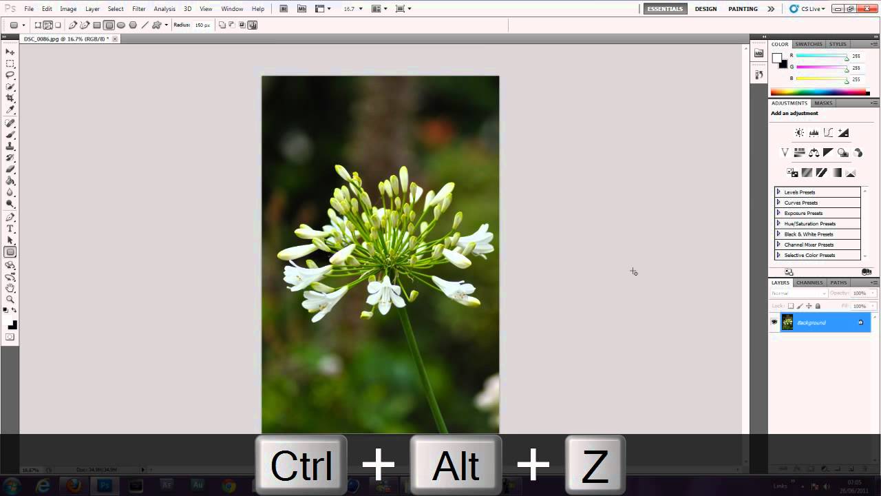 photoshop tutorial: simple borders and frames in photoshop