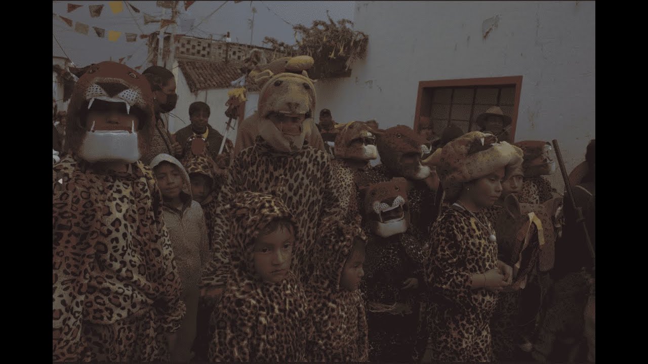 Danza del Tecuani o de lobitos | San Mateo Texcalyacac