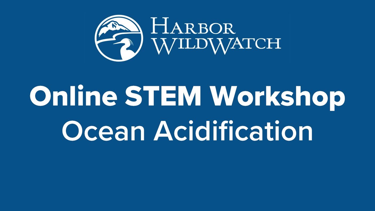 Online STEM Workshop - Ocean Acidification