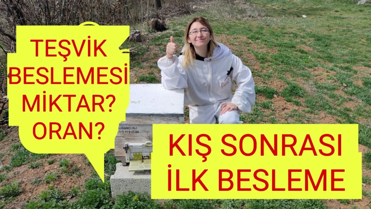 KIŞ SONRASI İLK BESLEME NASIL OLMALI 🐝 TEŞVİK BESLEMESİ 🐝MİKTAR 🐝ORAN#arı#arıcılık#bee#beekeeping