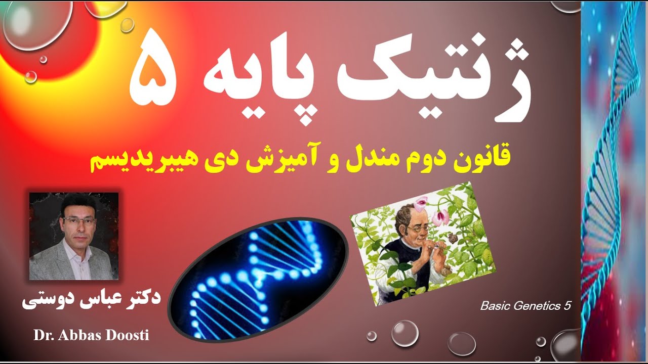 قانون دوم مندل و آمیزش دی هیبریدیسم / Genetics