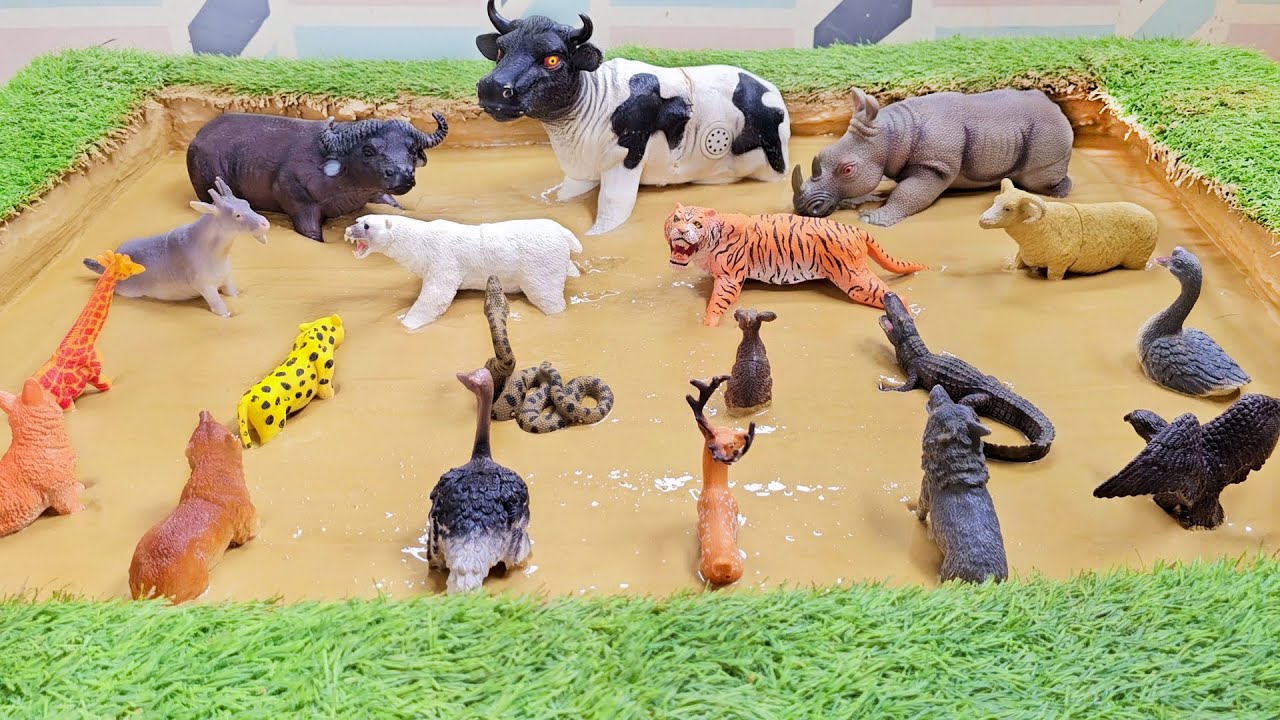 Braving into the Unknown Expedition of African Farm Animals & Jungle Predators