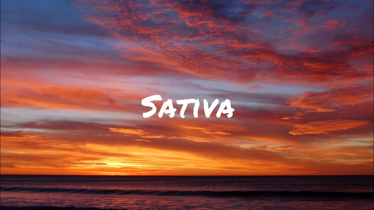 Sativa letra