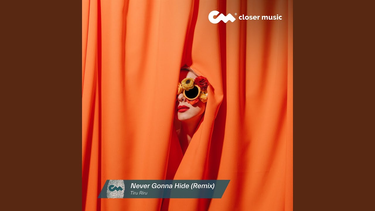 Never Gonna Hide (Remix Instrumental)