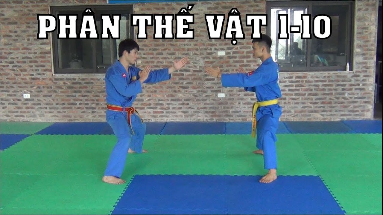 Vovinam - THẾ VẬT 1 -10 hướng dẫn (Vovinam Wrestling Techniques 1-10 tutorial)
