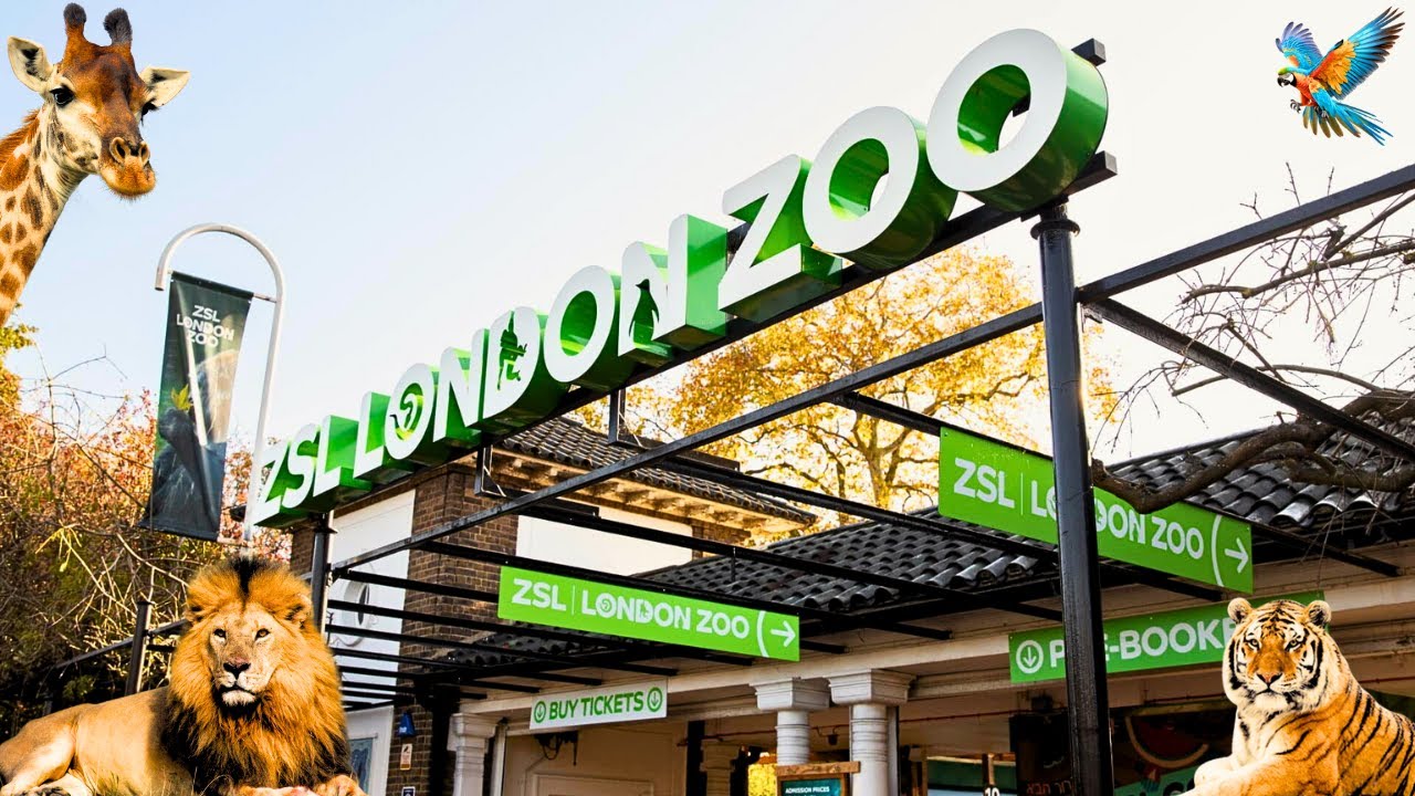 ZSL London Zoo Tour