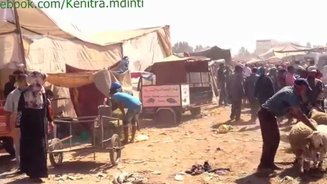 القنيطره : أجواء السوق إستعدادا لعيد الأضحى .  Kenitra