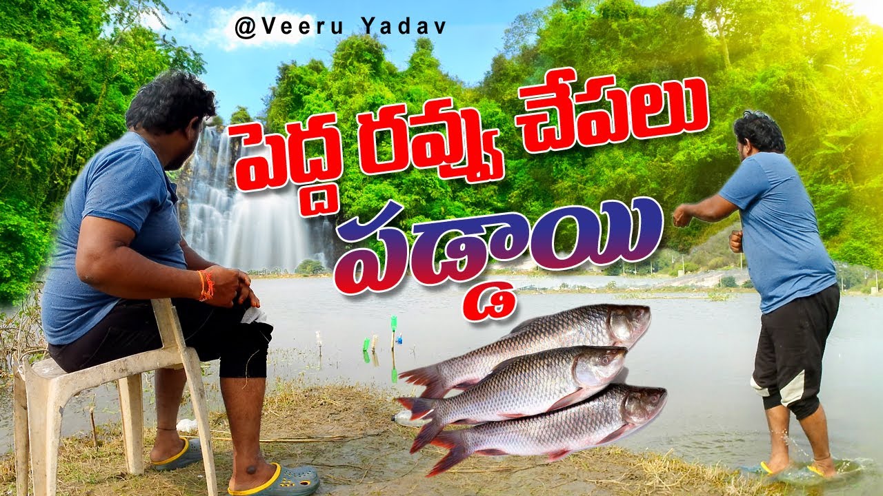 ఇక్కడ రువ్వు చాపలు మస్తు పడుతున్నాయి I @Veeru Yadav #Fishingvlog
