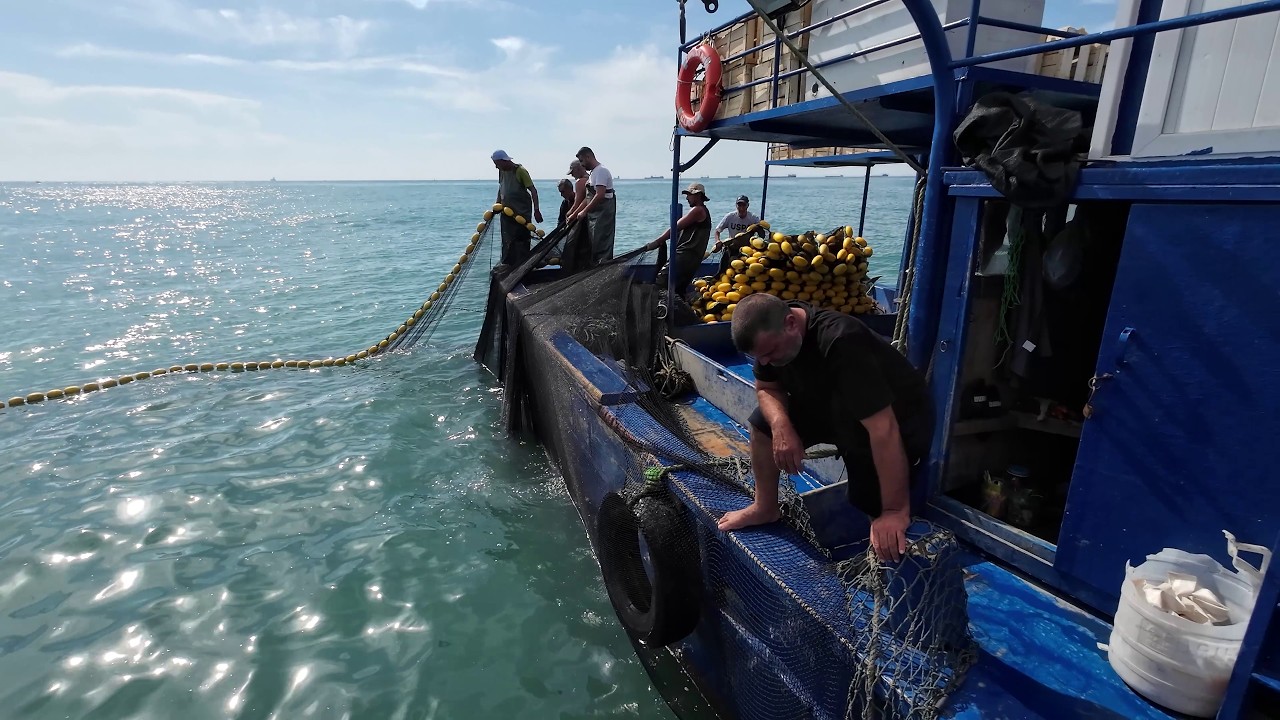 12 Saat Denizde Bekletilen Ağa Vuran Balıklara Bakın !! #fishing
