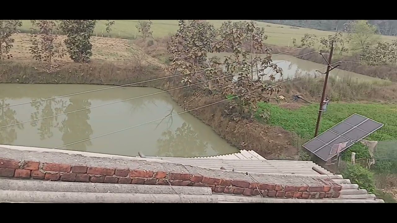 Poultry Farm eggs Production 