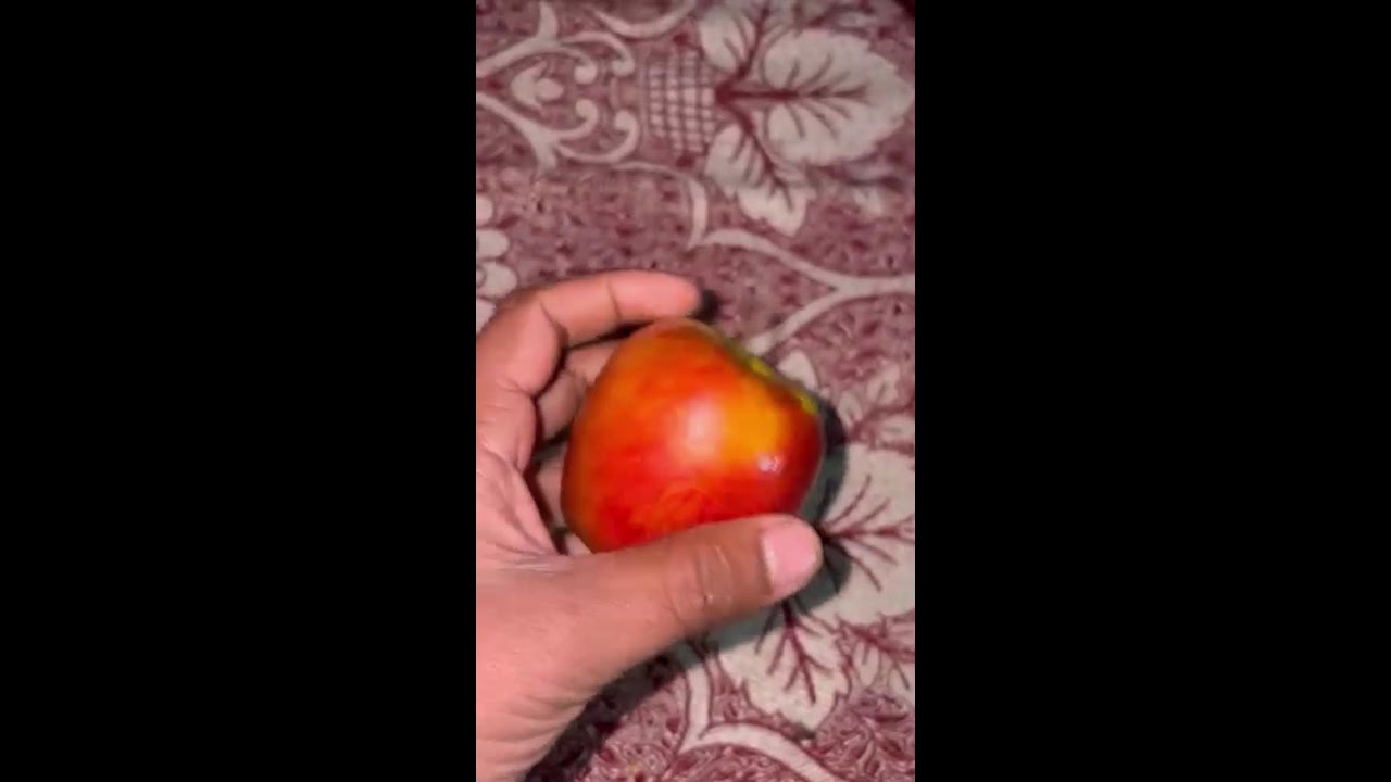 health tips