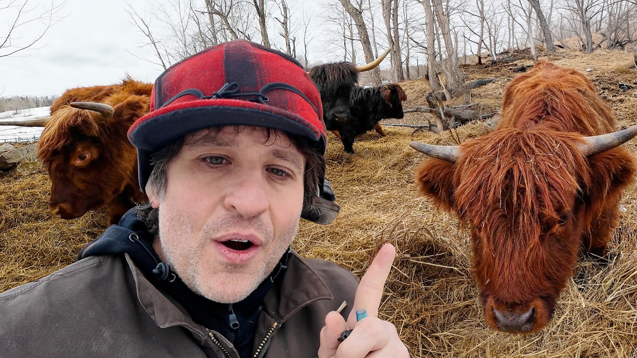 Maple Season Begins on the Farm (It's Finally Here)